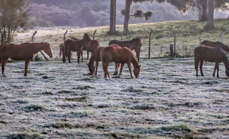 Após recorde de frio, temperatura sobe e Paraná volta a ter veranicos de inverno