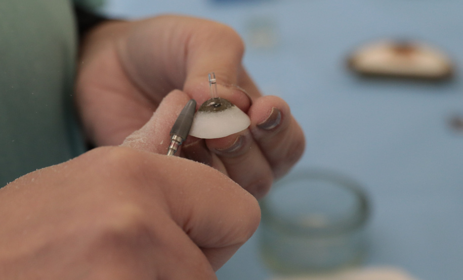 SESA PROTESES FACIAIS SUS