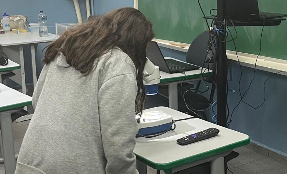 SESA COMBATE A DENGUE LONDRINA