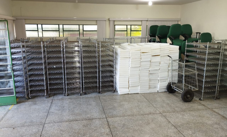 SESA COMBATE A DENGUE LONDRINA