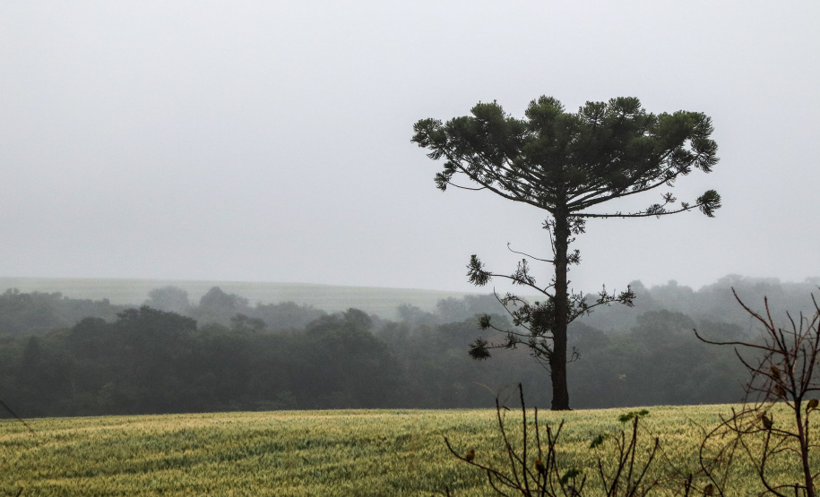 IAT REUNIÃO PETROBRAS AÇÕES AMBIENTAIS