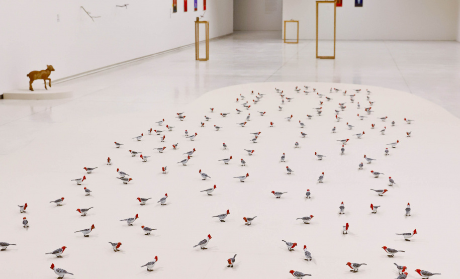 MON promove encontros para público 60+ sobre a mostra “O Jardim”