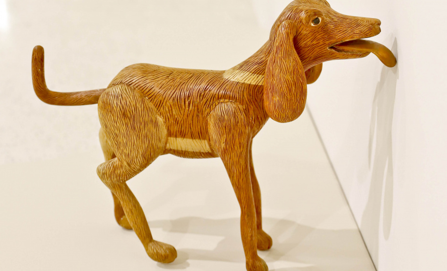 MON promove encontros para público 60+ sobre a mostra “O Jardim”