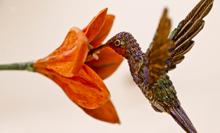 MON promove encontros para público 60+ sobre a mostra “O Jardim”