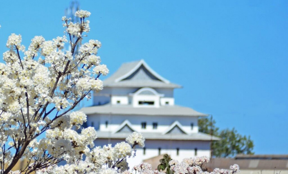 Cidade paranaense de apenas 13 mil habitantes vira  referência global em inovação