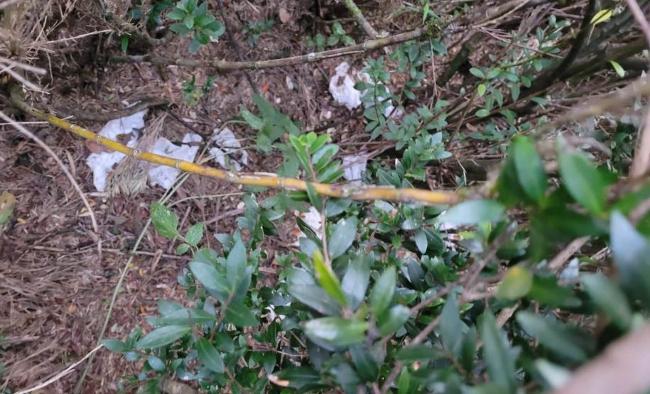 Sujeira deixada por visitantes impacta diretamente na qualidade da água de fontes do Parque Estadual Pico Paraná.