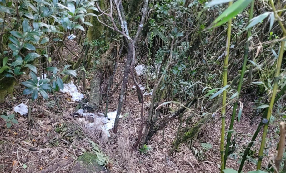 Sujeira deixada por visitantes impacta diretamente na qualidade da água de fontes do Parque Estadual Pico Paraná.