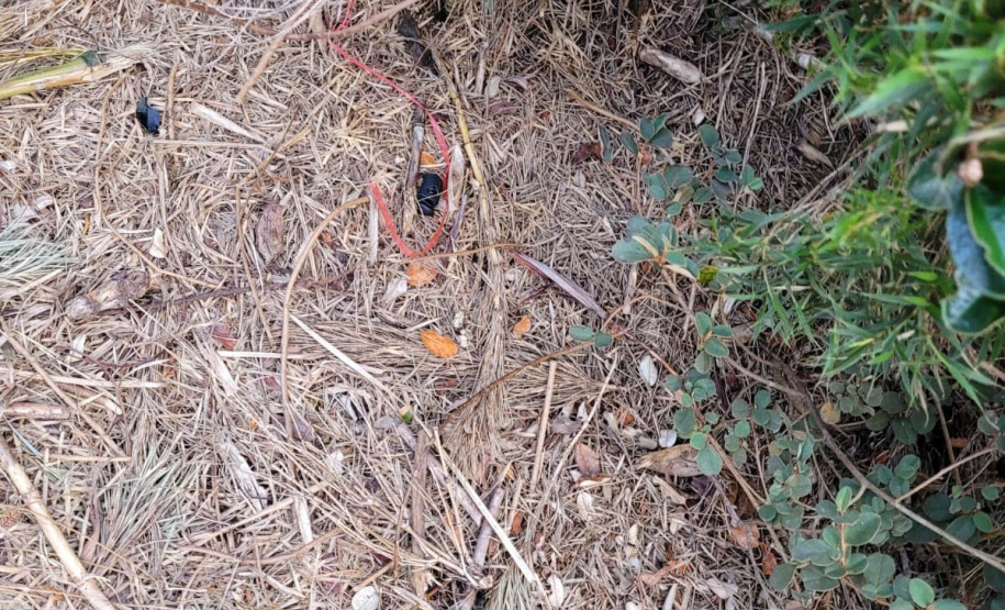 Sujeira deixada por visitantes impacta diretamente na qualidade da água de fontes do Parque Estadual Pico Paraná.