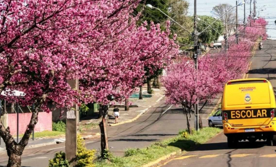 Cidade paranaense de apenas 13 mil habitantes vira  referência global em inovação