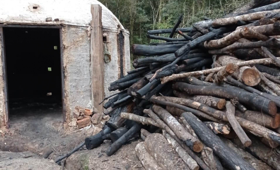 Técnicos do IAT aplicaram quase R$ 7 milhões em multa por desmatamento ilegal na região de Guarapuava.