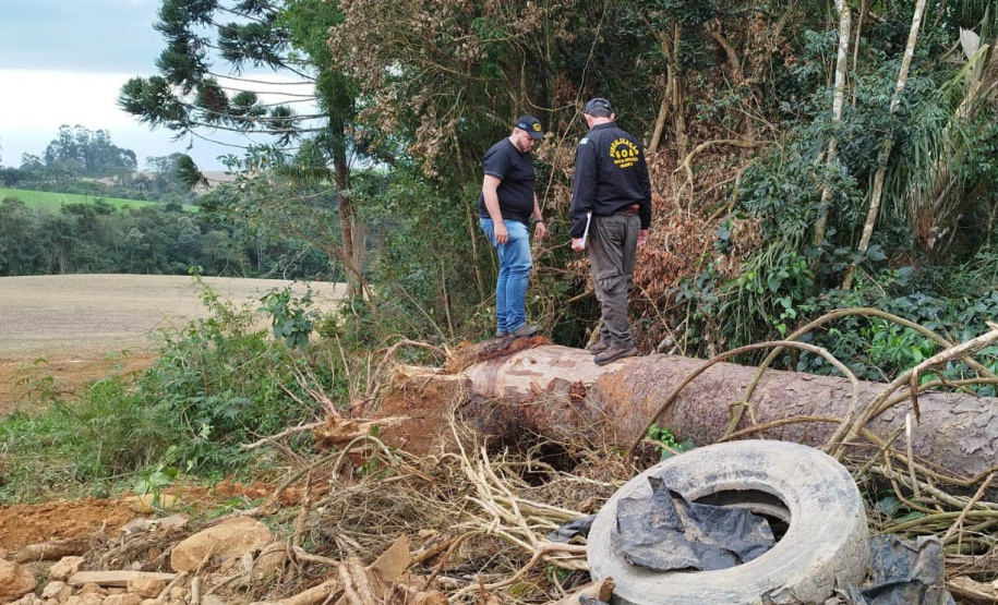 Técnicos do IAT aplicaram quase R$ 7 milhões em multa por desmatamento ilegal na região de Guarapuava.