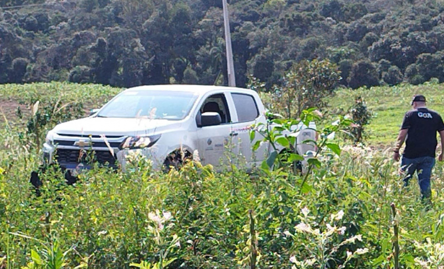 Técnicos do IAT aplicaram quase R$ 7 milhões em multa por desmatamento ilegal na região de Guarapuava.