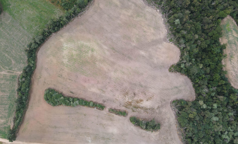 Técnicos do IAT aplicaram quase R$ 7 milhões em multa por desmatamento ilegal na região de Guarapuava.