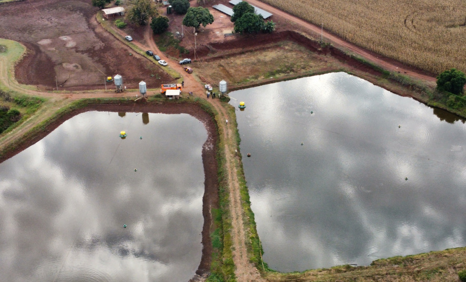 VICE PESCA DE TILÁPIA