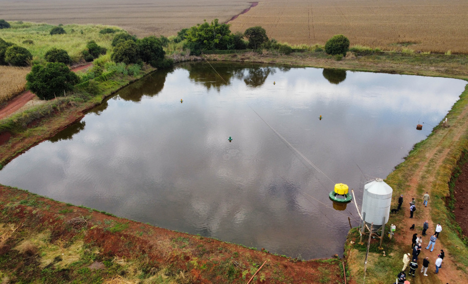 VICE PESCA DE TILÁPIA