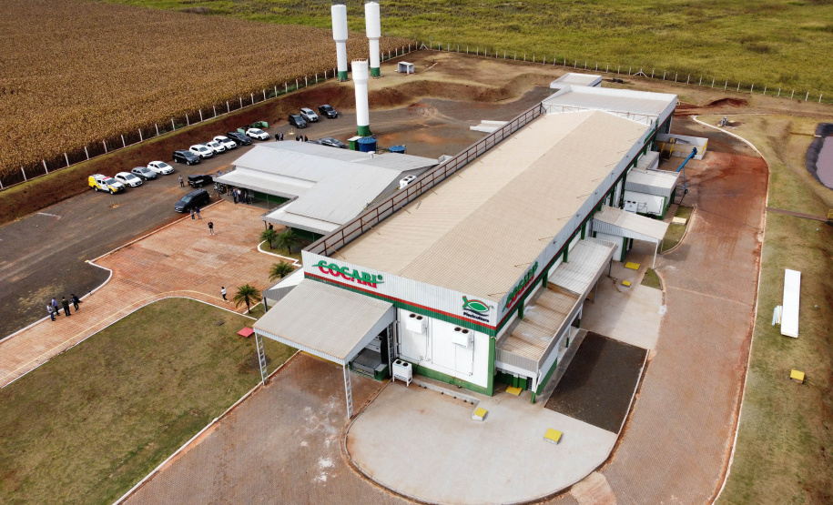 VICE PESCA DE TILÁPIA