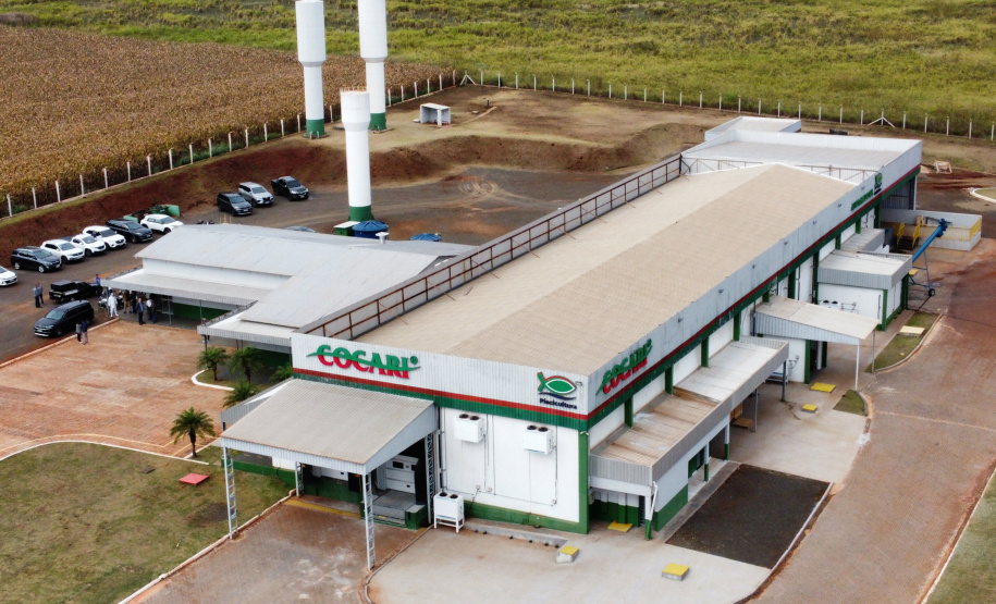 VICE PESCA DE TILÁPIA