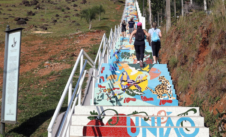 Escadaria Morro do Cristo Uniao da Vitória Foto Gilson Abreu