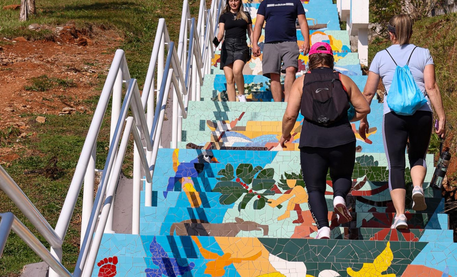 Escadaria Morro do Cristo Uniao da Vitória Foto Gilson Abreu