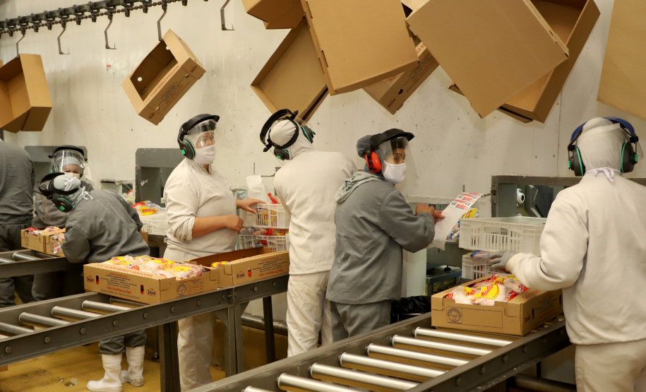 EXPORTAÇÃO ORIENTE MÉDIO, ÁFRICA E SUDESTE ASIÁTICO