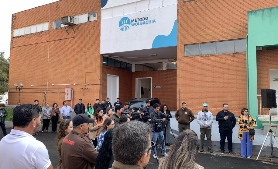 58 milhões de wolbitos devem ajudar Londrina no combate às arboviroses