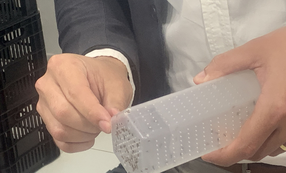 Paraná solta os primeiros mosquitos do “Método Wolbachia” na inauguração da biofábrica, em Foz do Iguaçu