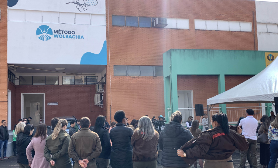 58 milhões de wolbitos devem ajudar Londrina no combate às arboviroses