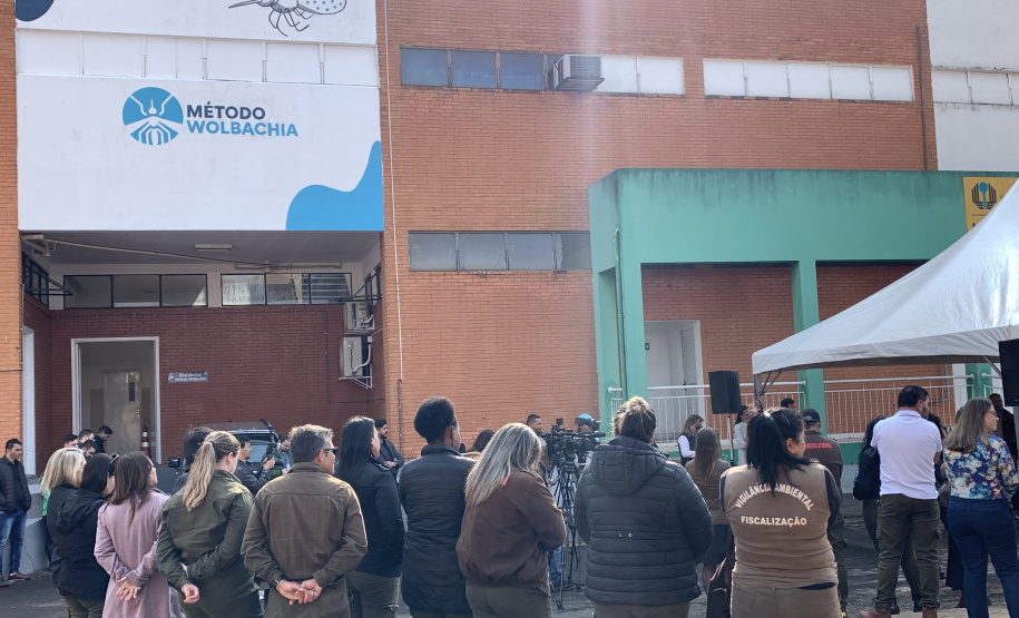 58 milhões de wolbitos devem ajudar Londrina no combate às arboviroses