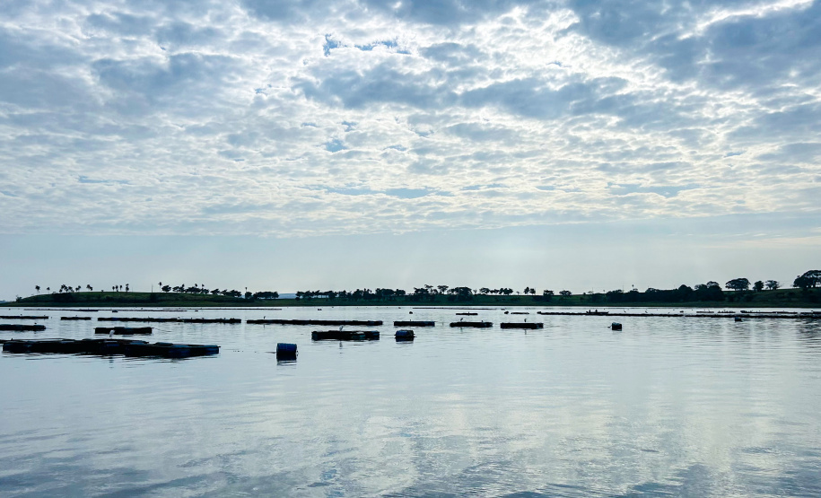 O governador em exercício Darci Piana recebeu o ministro da Pesca e Aquicultura, André de Paula, em uma visita a produtores de tilápia em Alvorada do Sul e Bela Vista do Paraíso, na região Norte do Paraná, nesta segunda-feira (15).