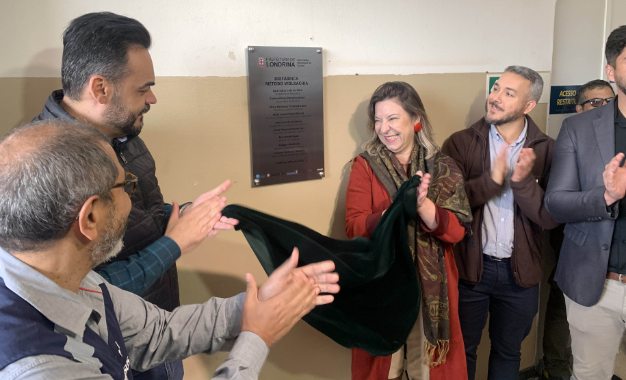 58 milhões de wolbitos devem ajudar Londrina no combate às arboviroses