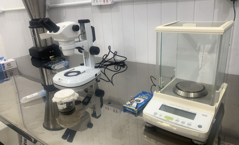 Paraná solta os primeiros mosquitos do “Método Wolbachia” na inauguração da biofábrica, em Foz do Iguaçu