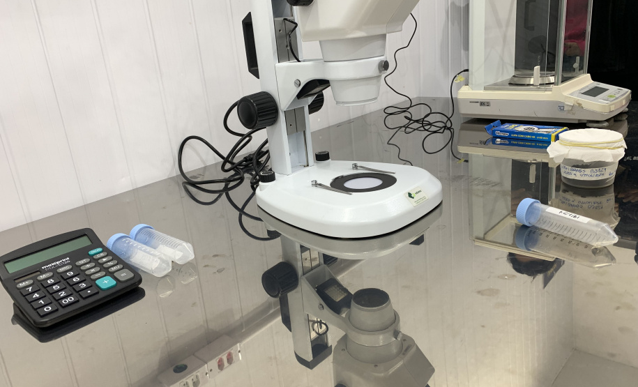 Paraná solta os primeiros mosquitos do “Método Wolbachia” na inauguração da biofábrica, em Foz do Iguaçu