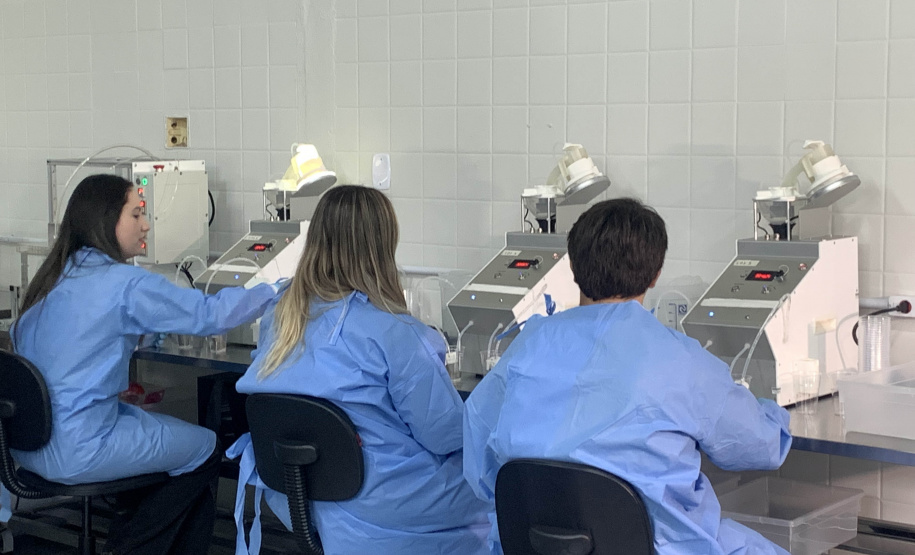 58 milhões de wolbitos devem ajudar Londrina no combate às arboviroses