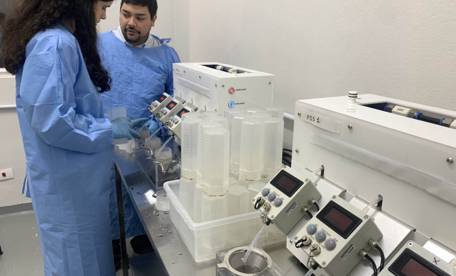 58 milhões de wolbitos devem ajudar Londrina no combate às arboviroses