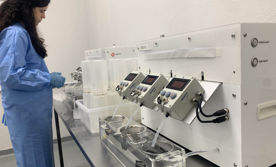 58 milhões de wolbitos devem ajudar Londrina no combate às arboviroses