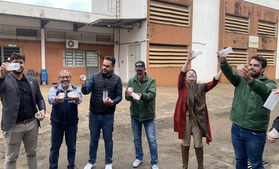 58 milhões de wolbitos devem ajudar Londrina no combate às arboviroses