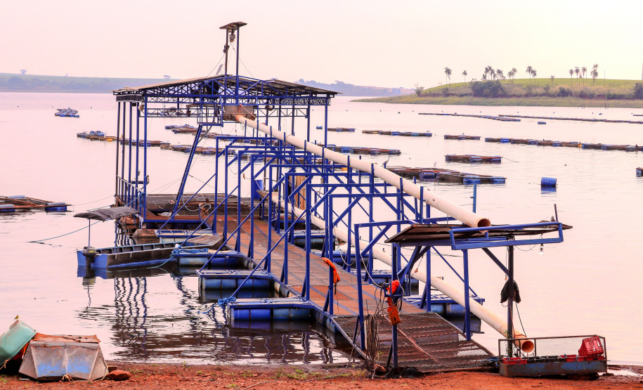 O governador em exercício Darci Piana recebeu o ministro da Pesca e Aquicultura, André de Paula, em uma visita a produtores de tilápia em Alvorada do Sul e Bela Vista do Paraíso, na região Norte do Paraná, nesta segunda-feira (15).