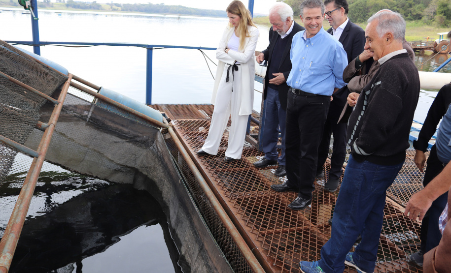 O governador em exercício Darci Piana recebeu o ministro da Pesca e Aquicultura, André de Paula, em uma visita a produtores de tilápia em Alvorada do Sul e Bela Vista do Paraíso, na região Norte do Paraná, nesta segunda-feira (15).