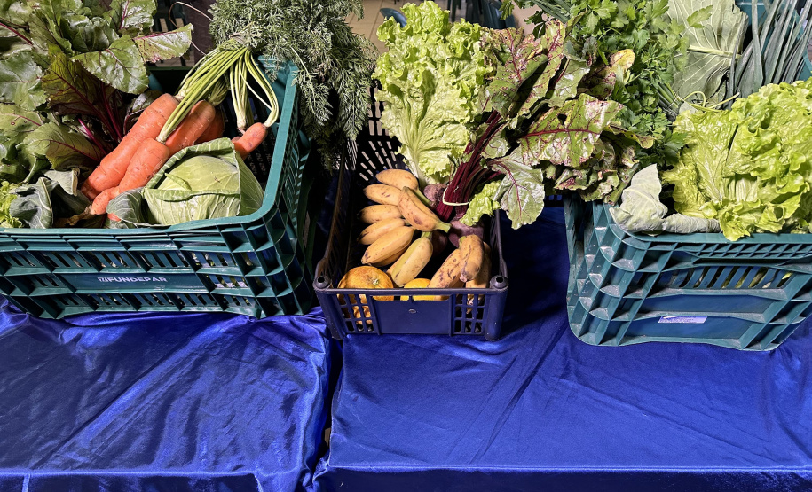 EDUCAÇÃO - ALIMENTAÇÃO DOMICILIAR  - ATENDE 800 ALUNOS