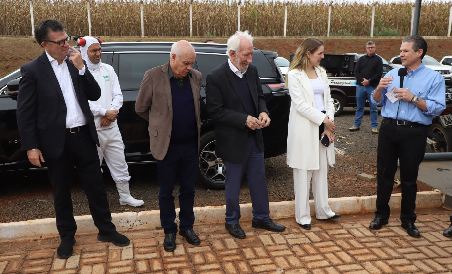 VICE PESCA DE TILÁPIA