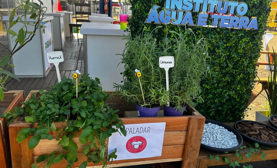 IAT promove a inclusão social e ambiental por meio dos jardins sensoriais
