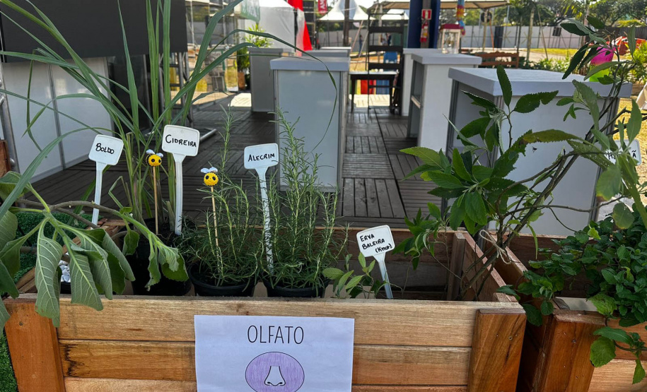 IAT promove a inclusão social e ambiental por meio dos jardins sensoriais