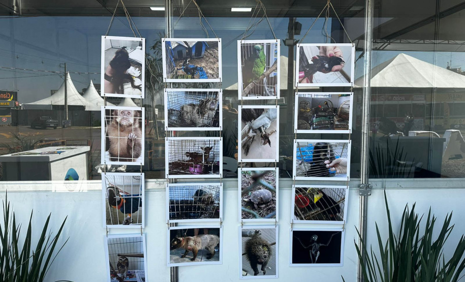 IAT promove a inclusão social e ambiental por meio dos jardins sensoriais