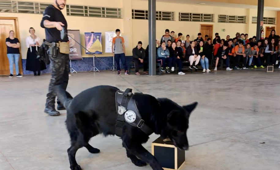PCPR atende mais de 5,1 mil pessoas em ação de conscientização e prevenção ao uso de drogas no Paraná