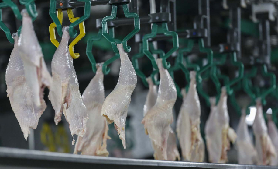 EXPORTAÇÃO ORIENTE MÉDIO, ÁFRICA E SUDESTE ASIÁTICO