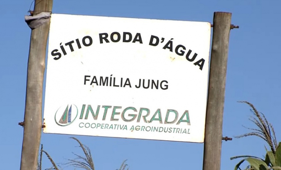 Abelhas produzem mel e aumentam a produção de grãos no Noroeste