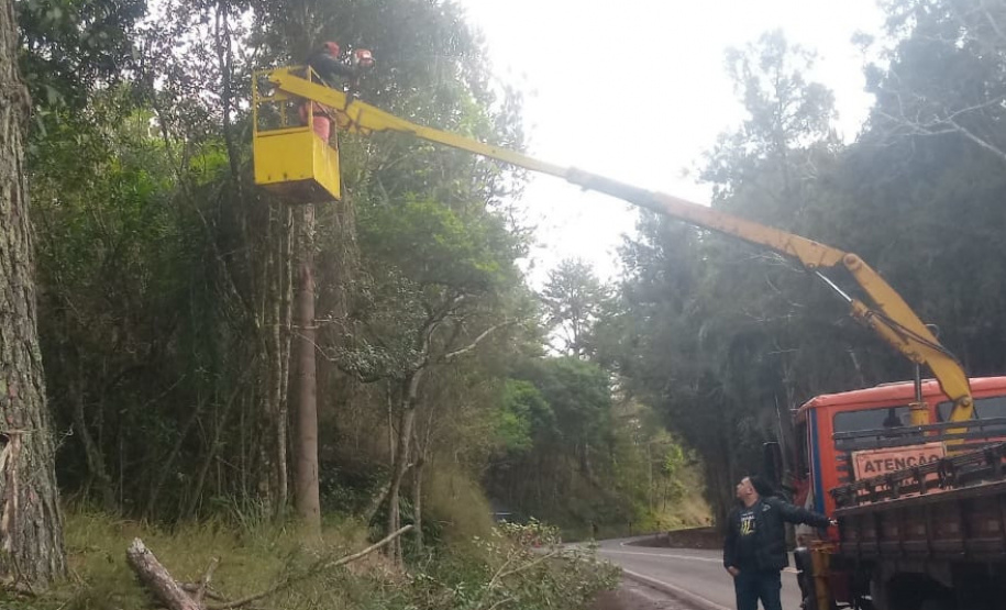 DER PR-170 Pinhão conservação de faixa de domínio