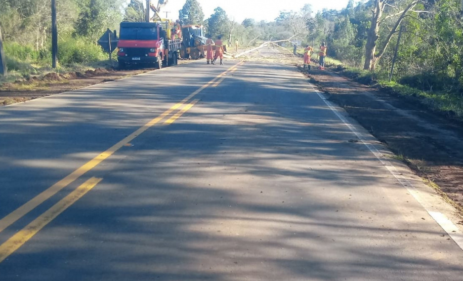 DER PR-170 Pinhão conservação de faixa de domínio