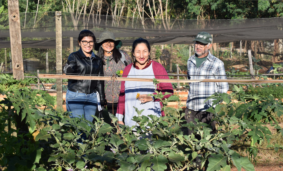 Horta comunitária do programa Cultivar Energia em Maringá recebe comitiva peruana