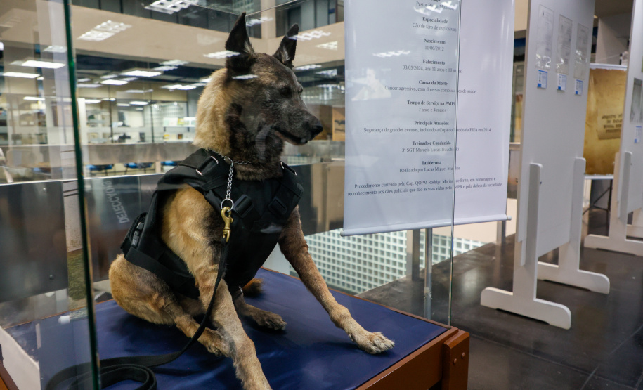 SEAP - ARQUIVO PÚBLICO - EXPOSIÇÃO PM